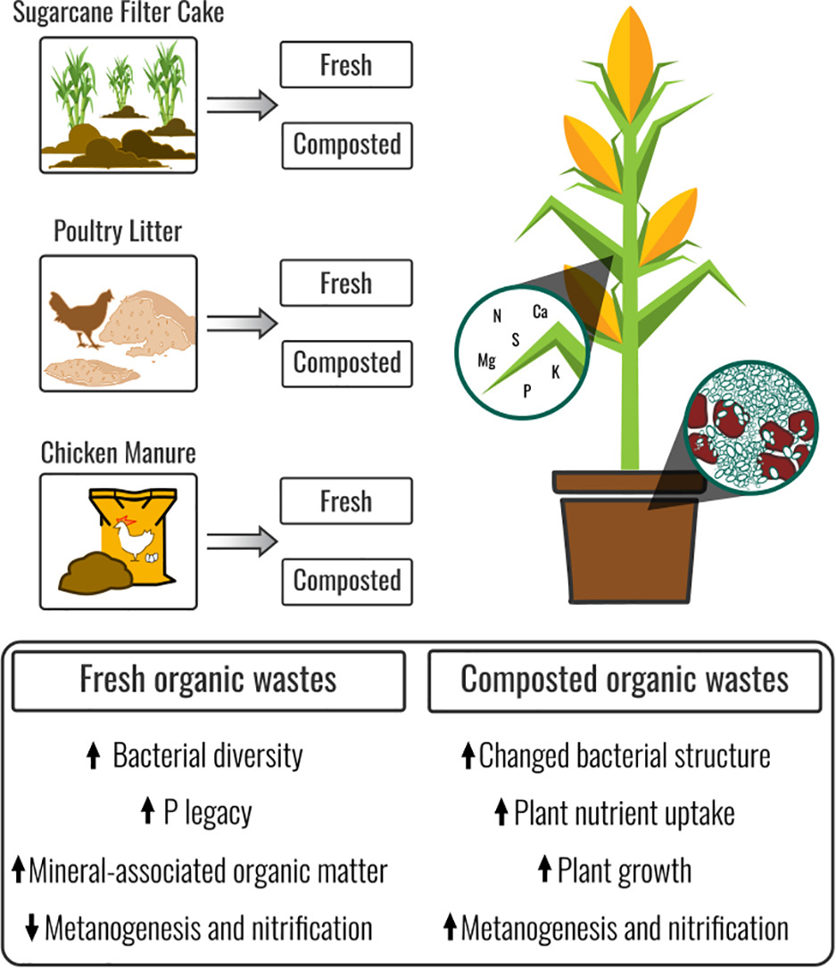 martins-et-al-2024.jpg