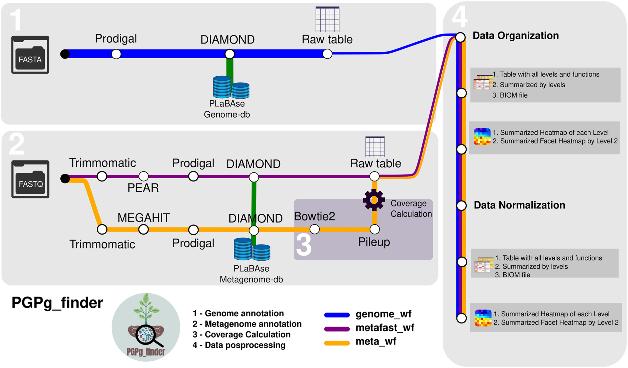 pellegrinetti-et-al-2024.jpg